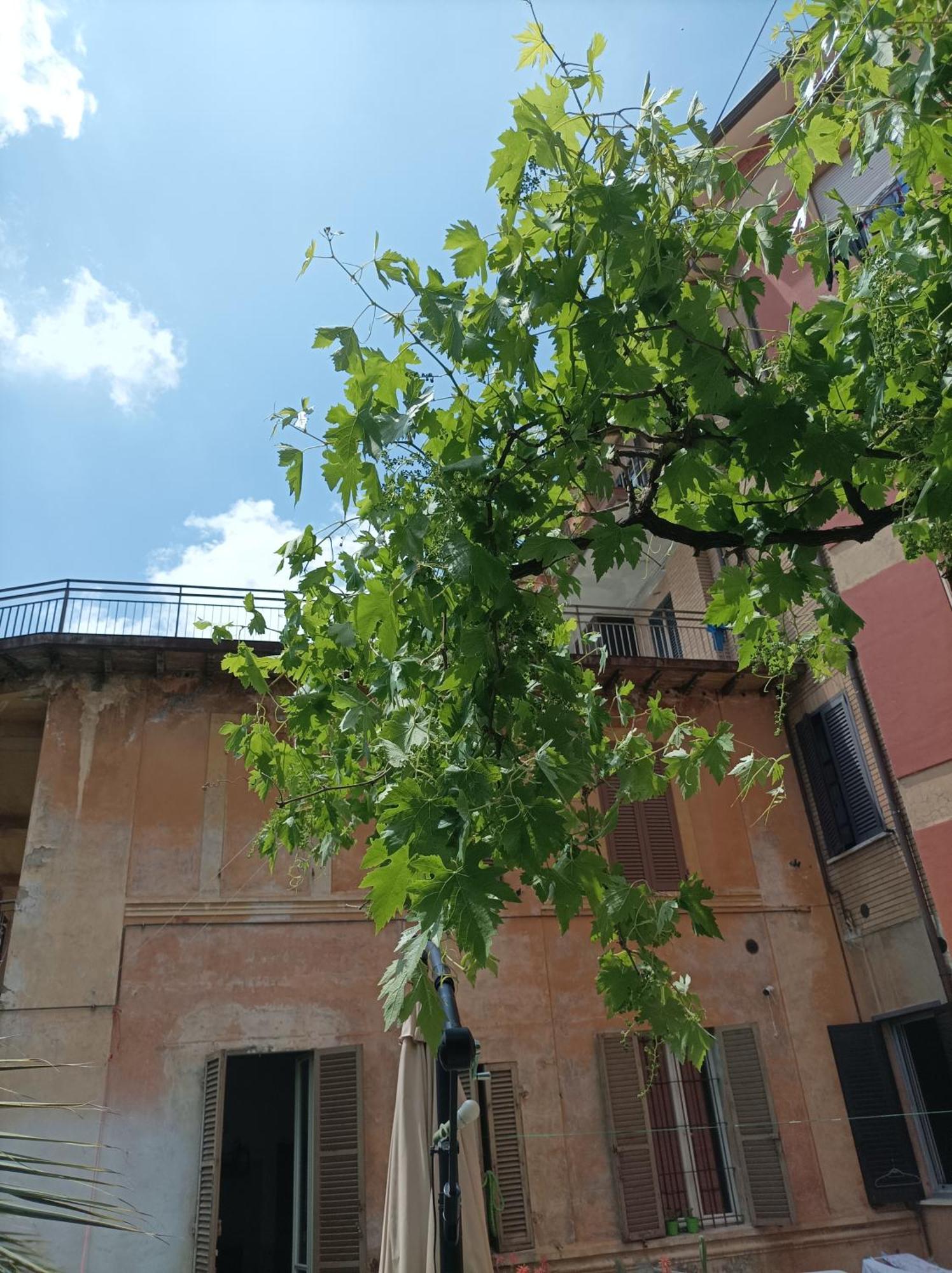 Boh & Boh A Casa Di Luca And His Cats Apartment Perugia Exterior photo
