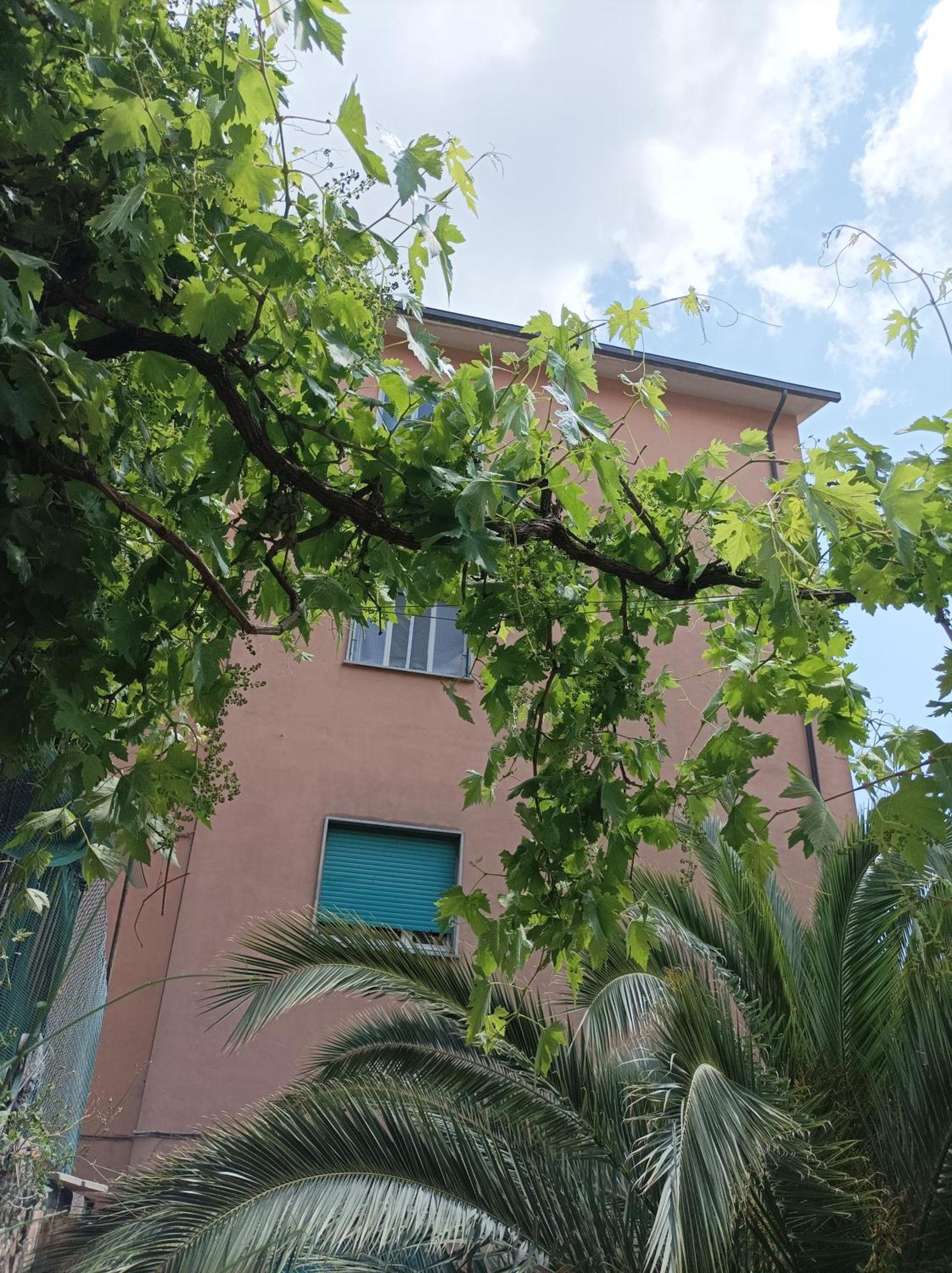 Boh & Boh A Casa Di Luca And His Cats Apartment Perugia Exterior photo